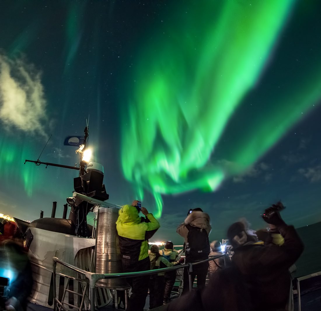 Northern Lights by Boat with a Backup Plan