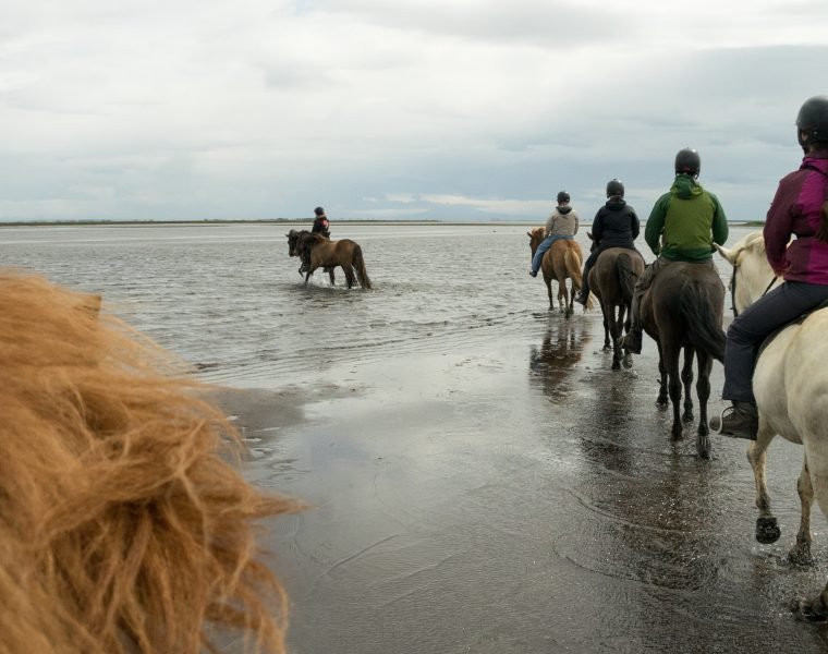 The Beach Ride