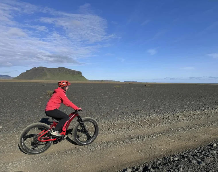 South Coast & E‑Bike Black Beach Adventure & the Plane Wreck