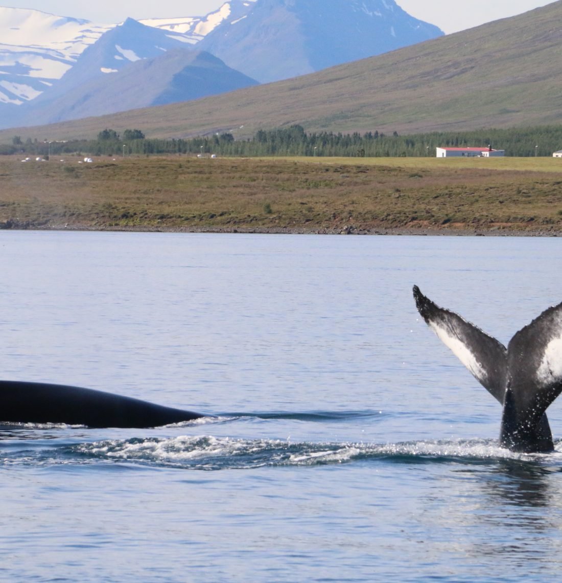 8 Day – Iceland Ring Road Tour – Standard Package