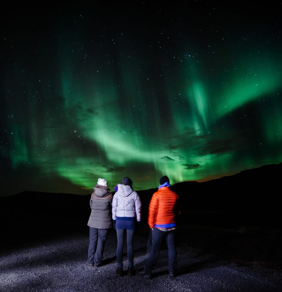 Whale Watching and Northern Lights from Reykjavík