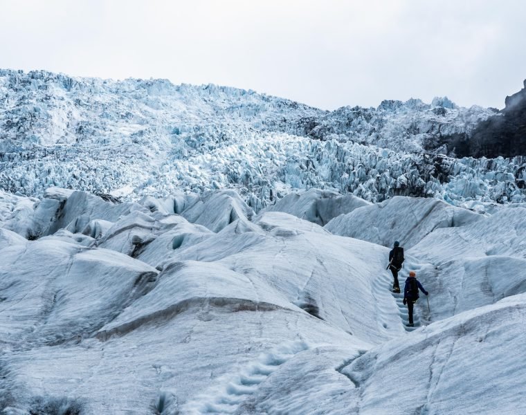 Glacier Encounter