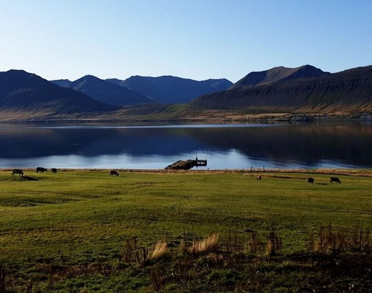 Dynjandi Waterfall & Farm Tour from Isafjordur Port