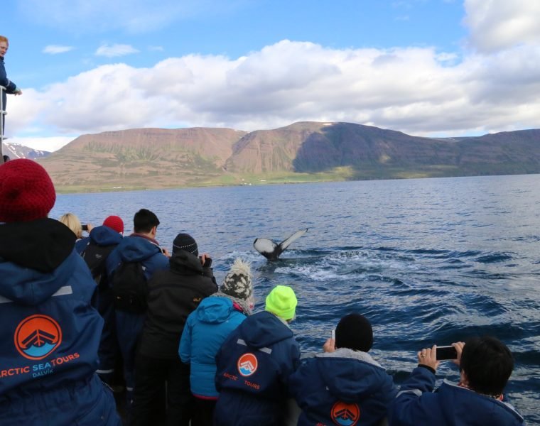 7 Day – Complete Iceland – Adventure Package