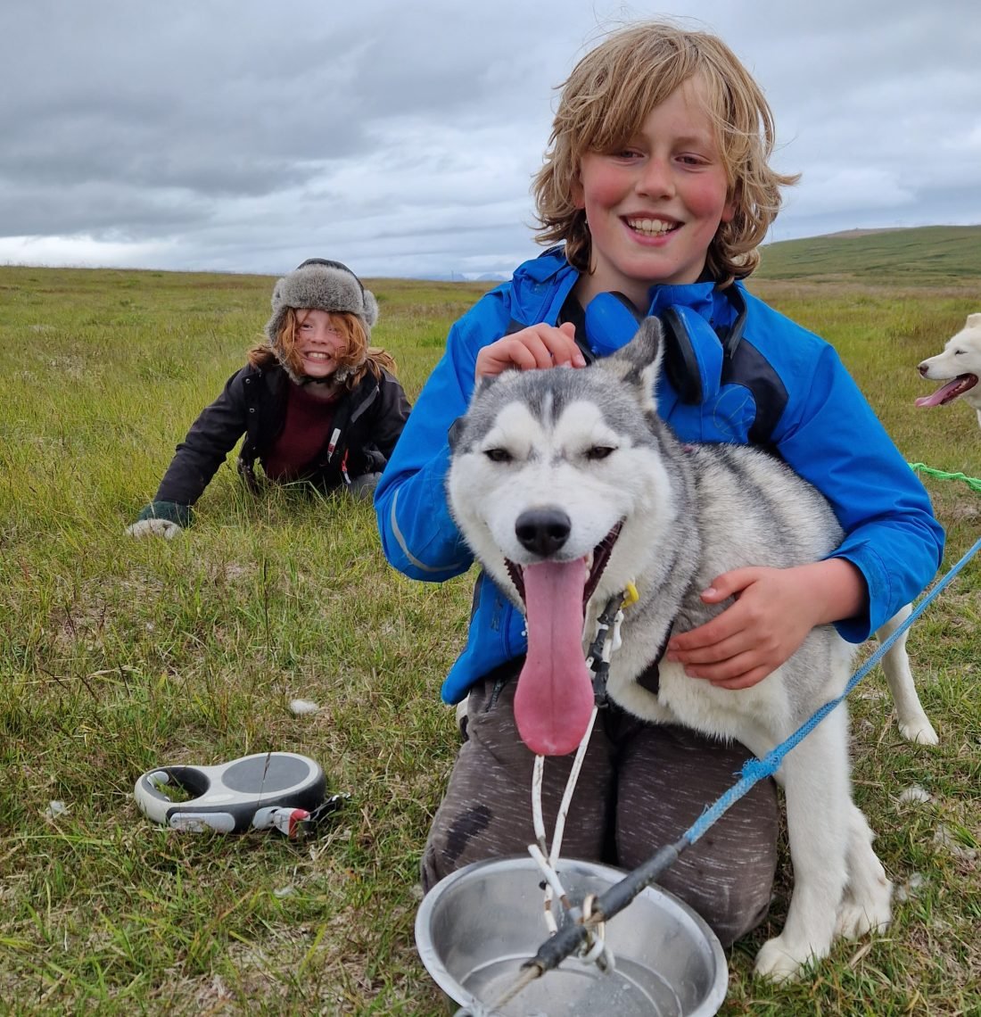 Summer Dog sledding