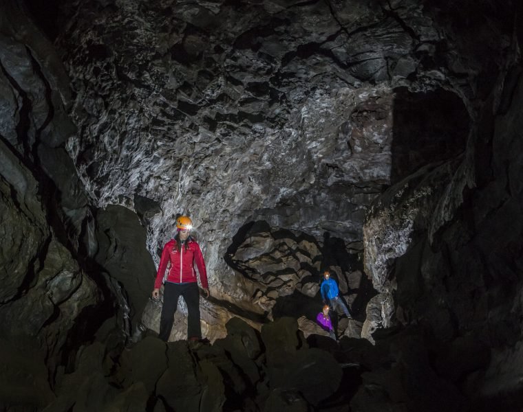 Whale Watching & Caving