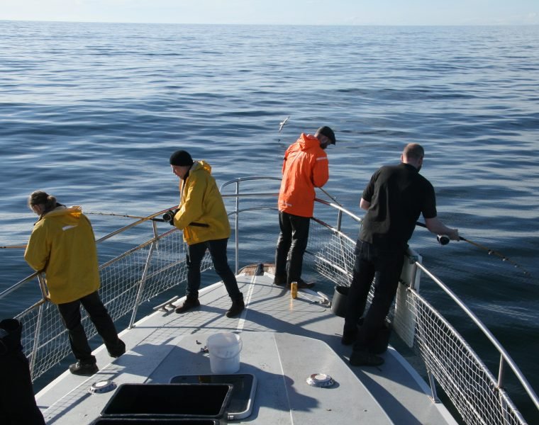 Reykjavík Sea Angling Gourmet