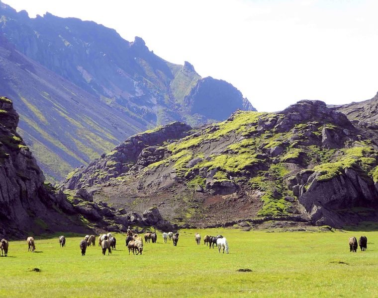 The Valley of Horses – Marardalur