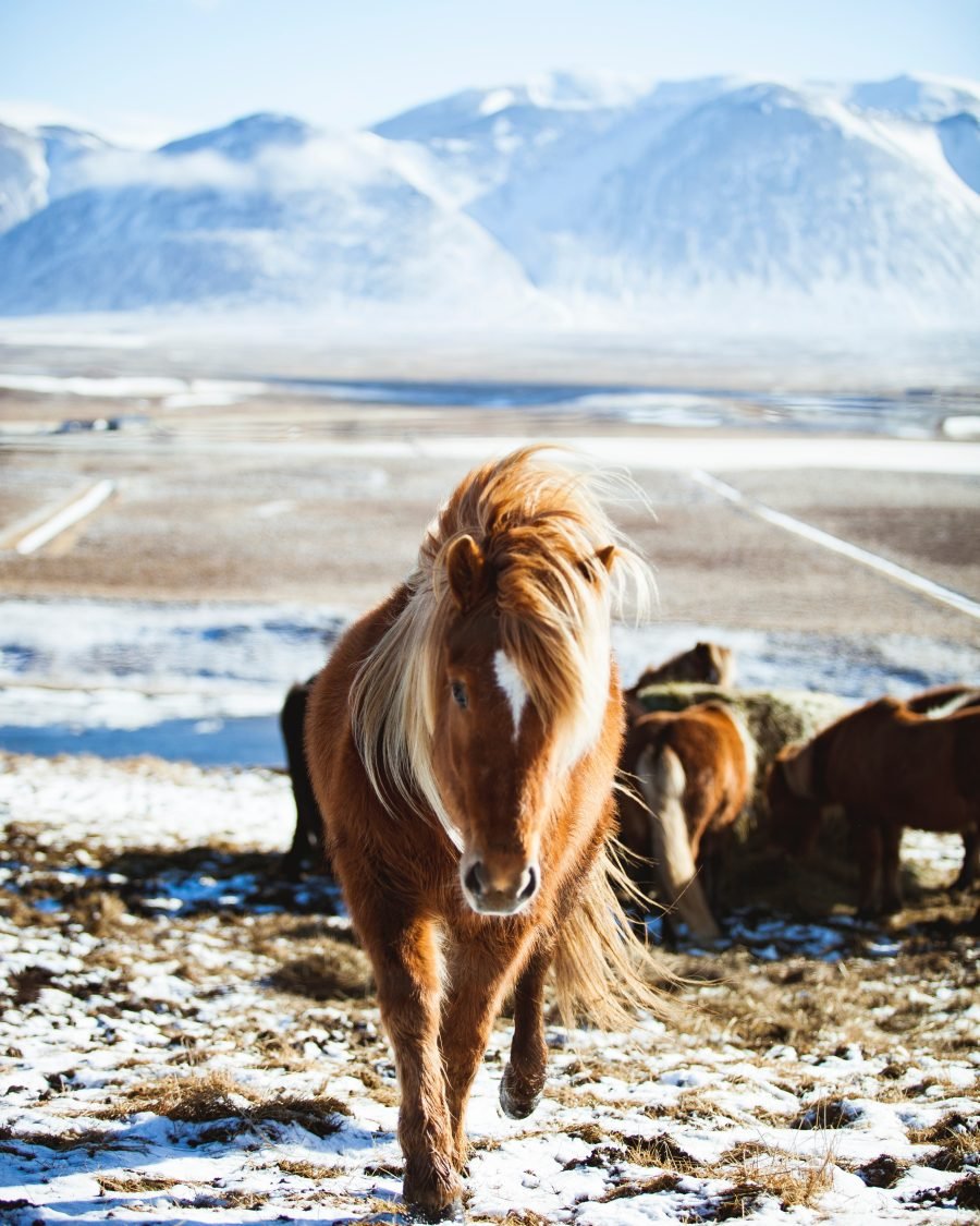 7 Day – Iceland Ring Road & Snæfellsnes