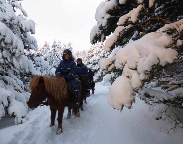 Horses and Hot Springs