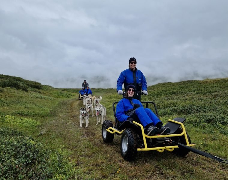 Summer Dog sledding