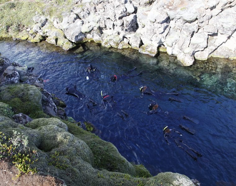 Snorkeling Silfra and horseback riding