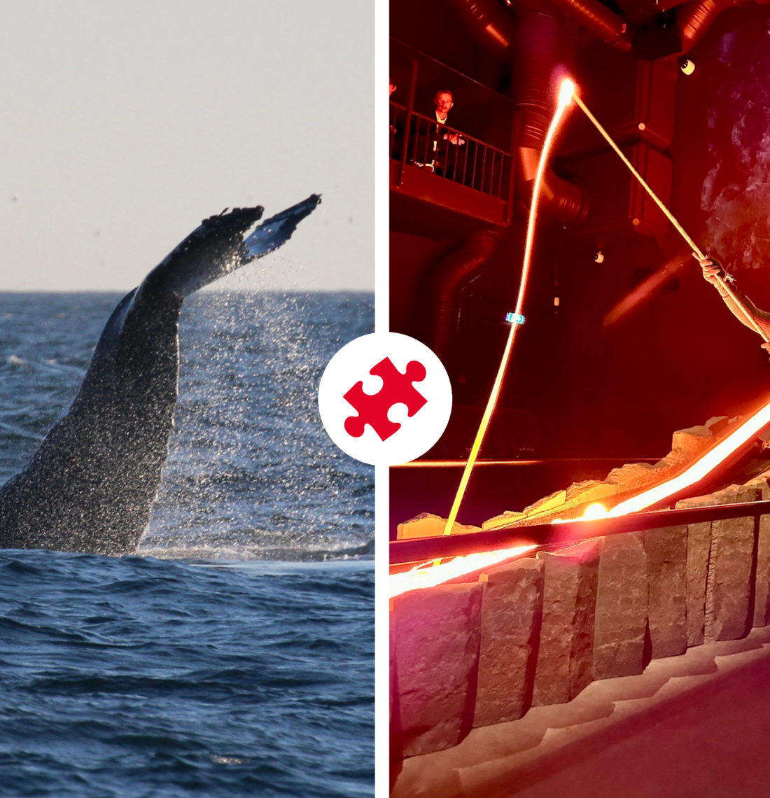 Whales & Lava Show