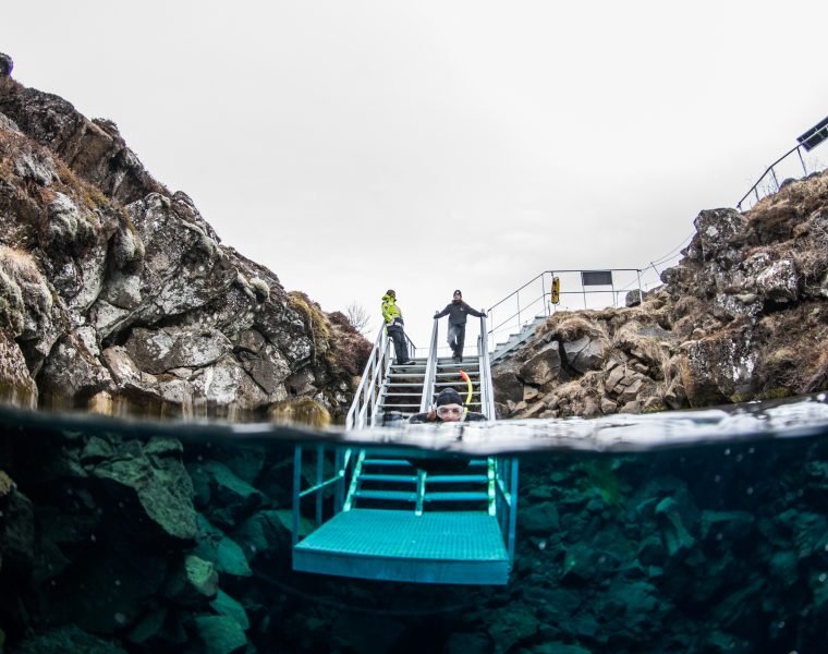 Reykjavík Whales & Snorkeling