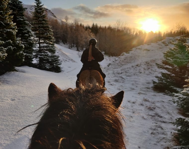 Horses and Hot Springs