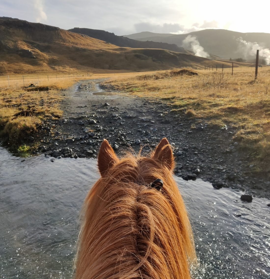 Horses and Hot Springs