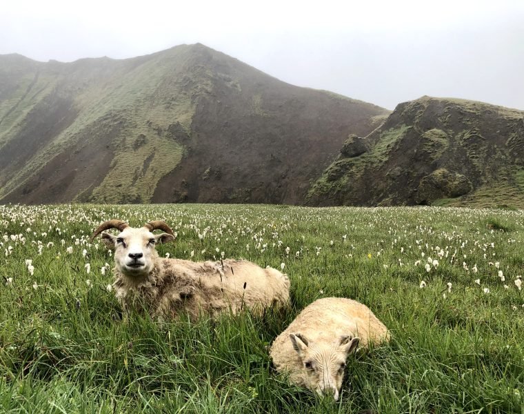 PRIVATE: Hiking up Reykjadalur Valley – Hot River