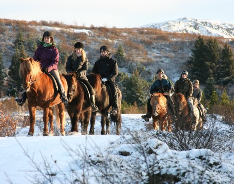 Lava Tour – Horseback Riding through the Lava Fields