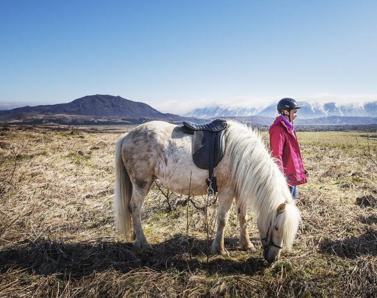 Lava Tour – Horseback Riding through the Lava Fields