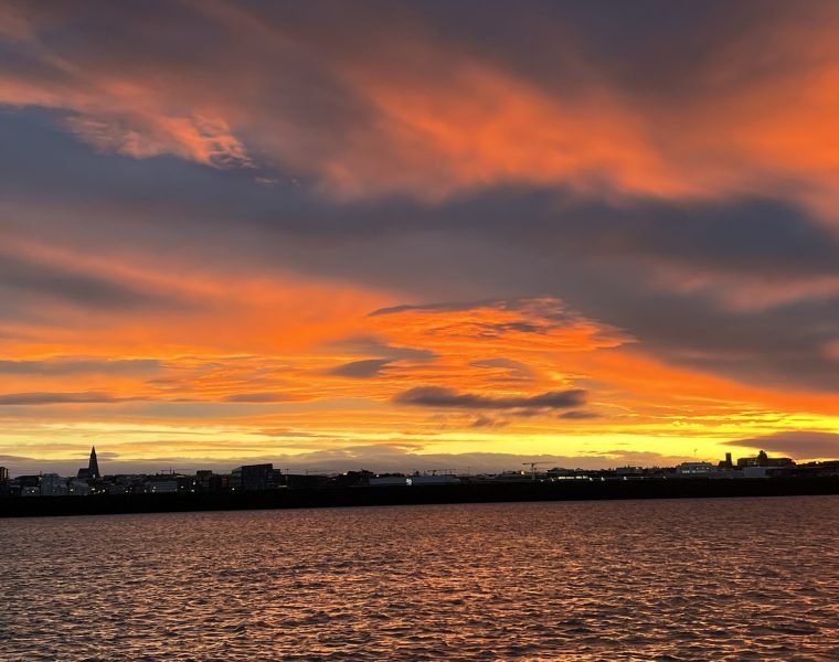 An Unforgettable Arctic Evening with Whales, Puffins & Endless Daylight