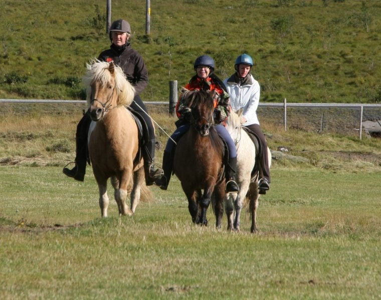 Riding and Gullfoss, Geysir & Þingvellir