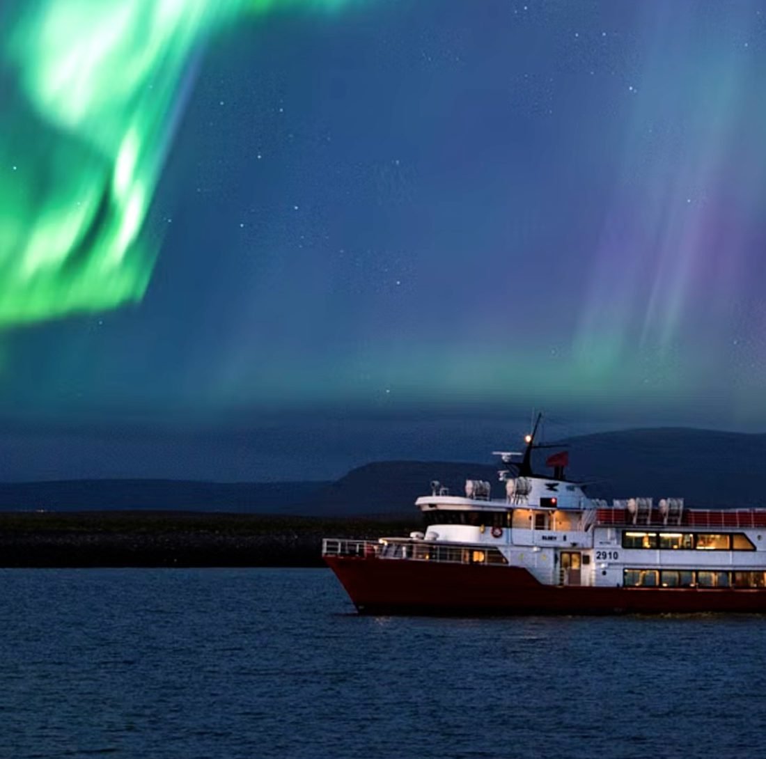Reykjavík Northern Lights & City Cruise
