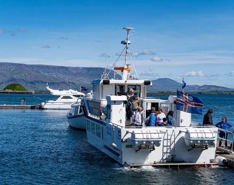Best Value Whale Watching tour from Reykjavik