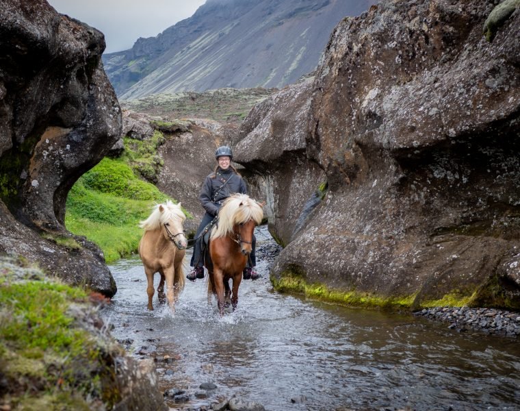 The Valley of Horses – Marardalur