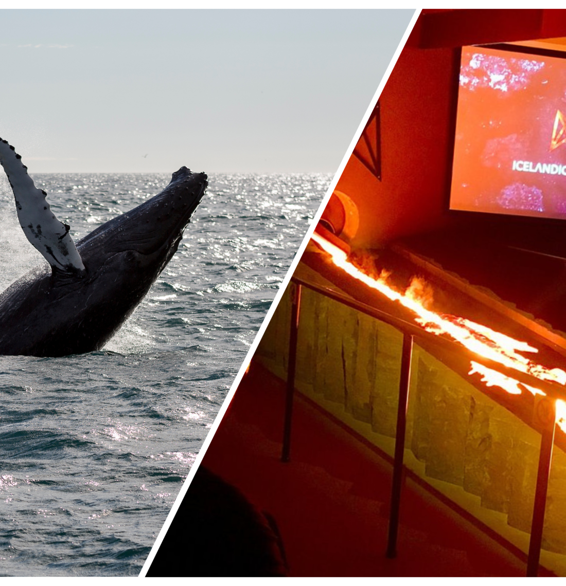 Whale Watching & Lava Show Reykjavik: Nature’s Breathtaking Spectacle