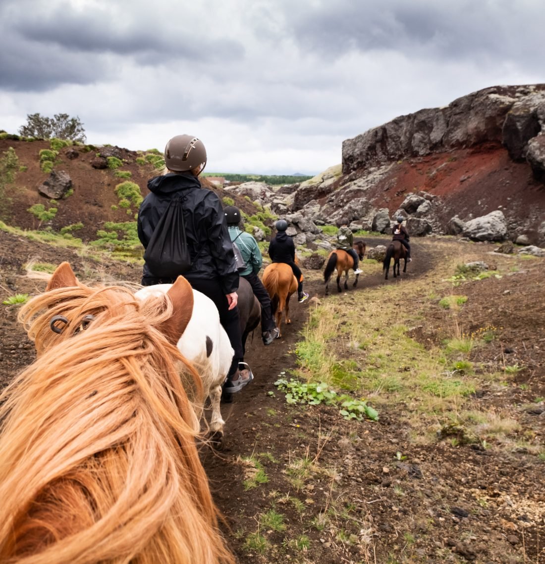 Red Lava Horse Riding Tour – Reykjavík