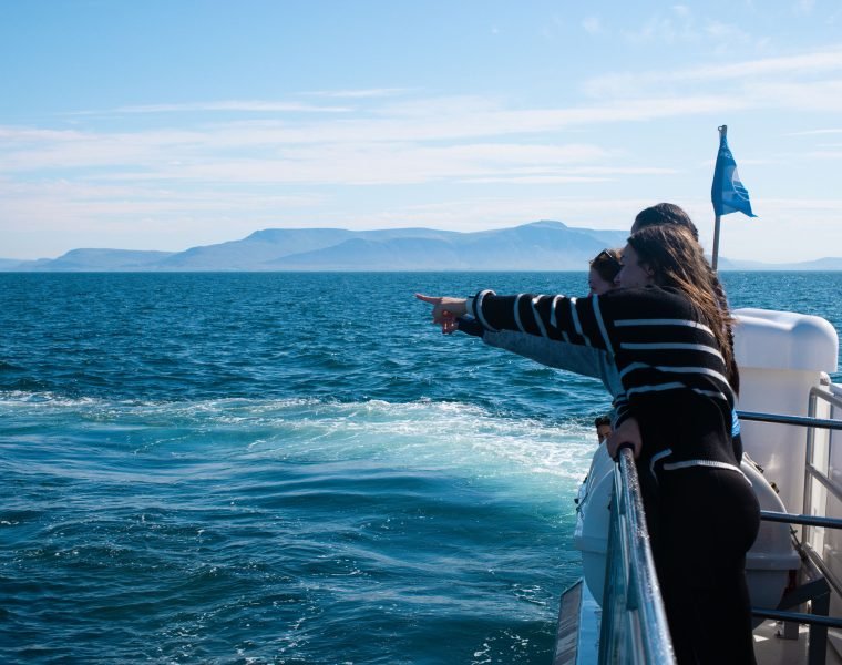 Whale Watching tour from Reykjavik