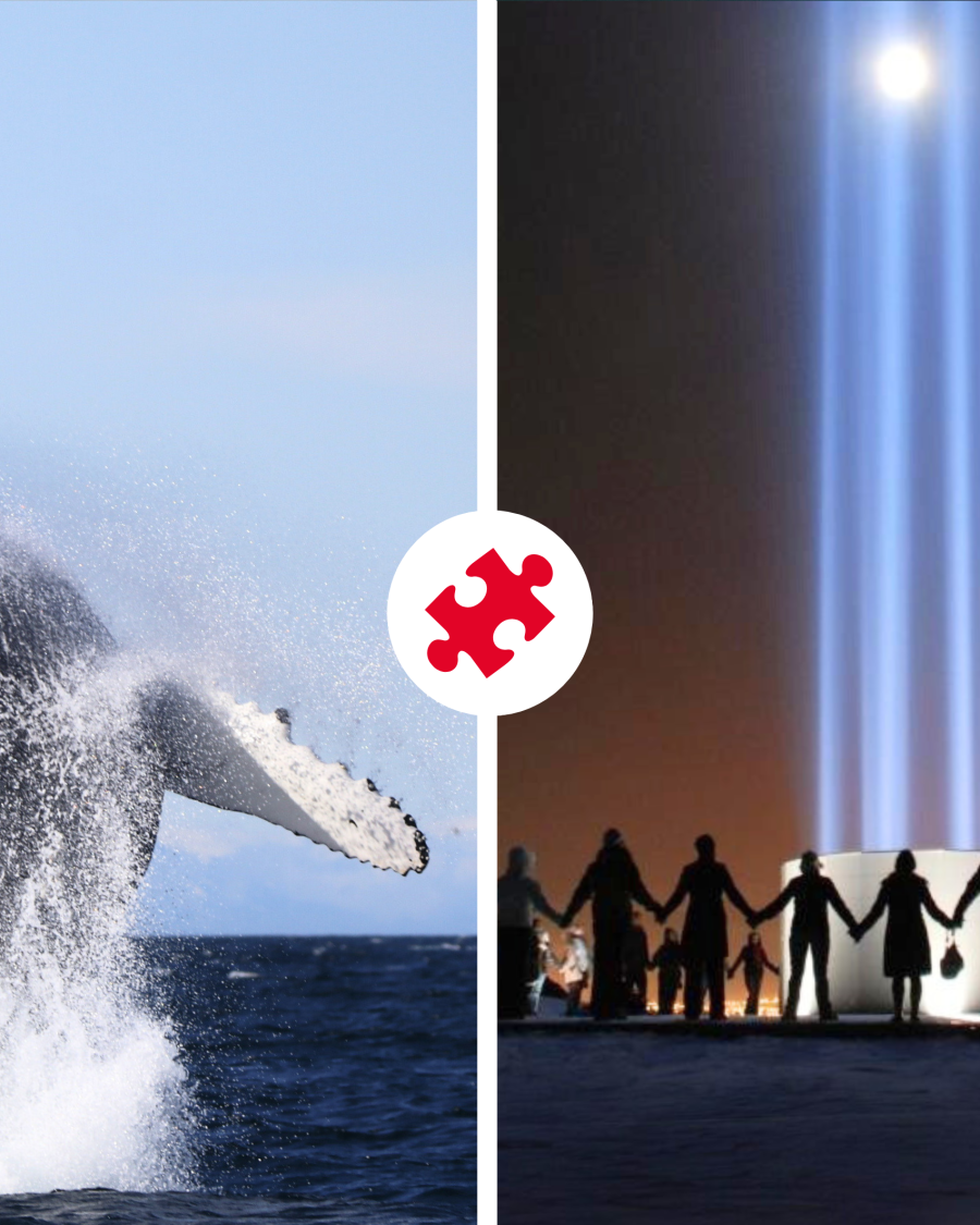 Reykjavík Whales & Imagine Peace Tower