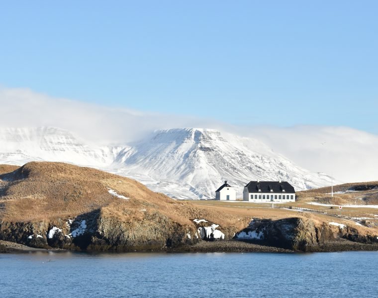 Reykjavík Whales & Viðey Island