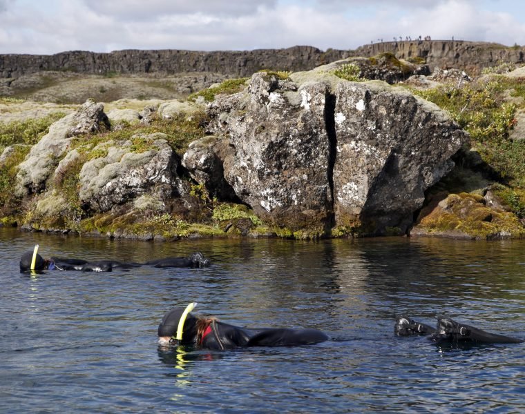 Snorkeling Silfra and horseback riding