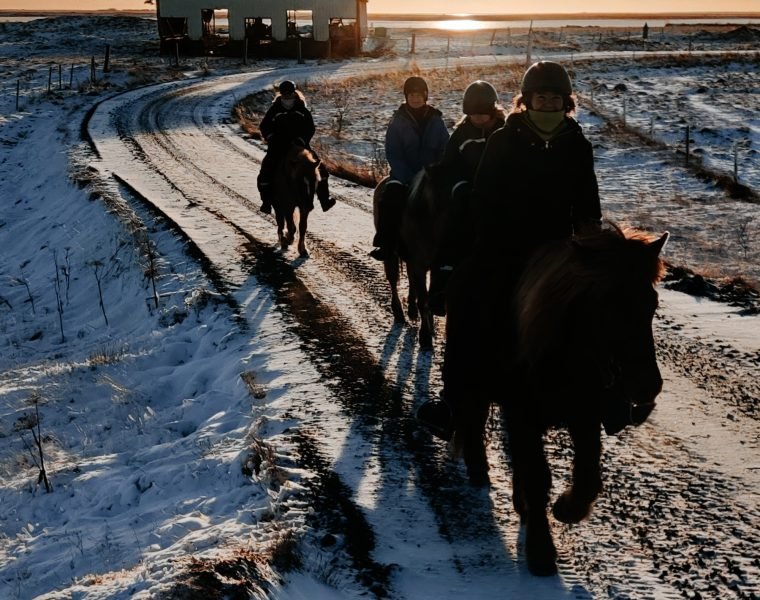 Icelandic Diversity