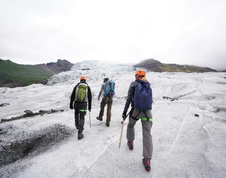 Glacier Encounter