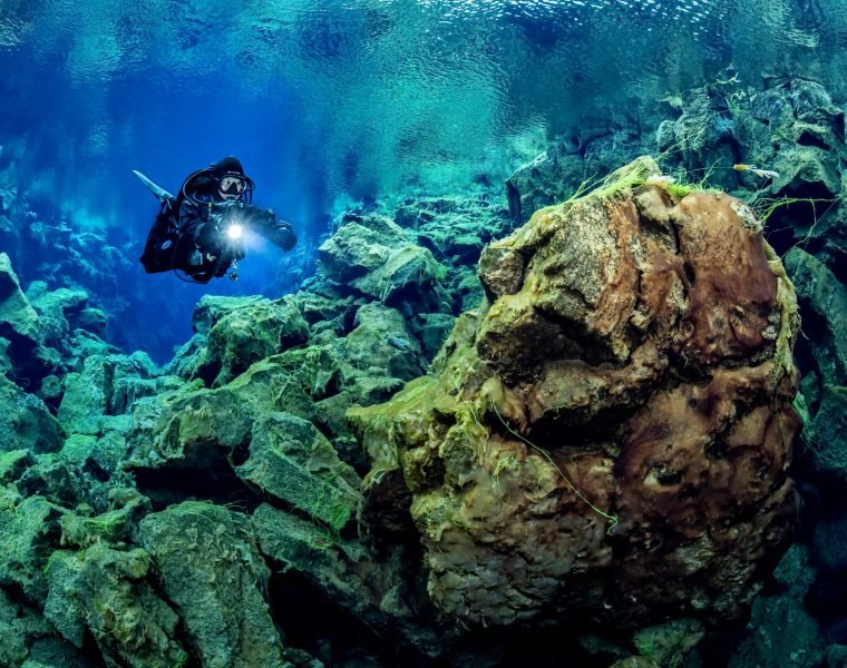 Deep Into the Blue – Silfra Diving from Reykjavík