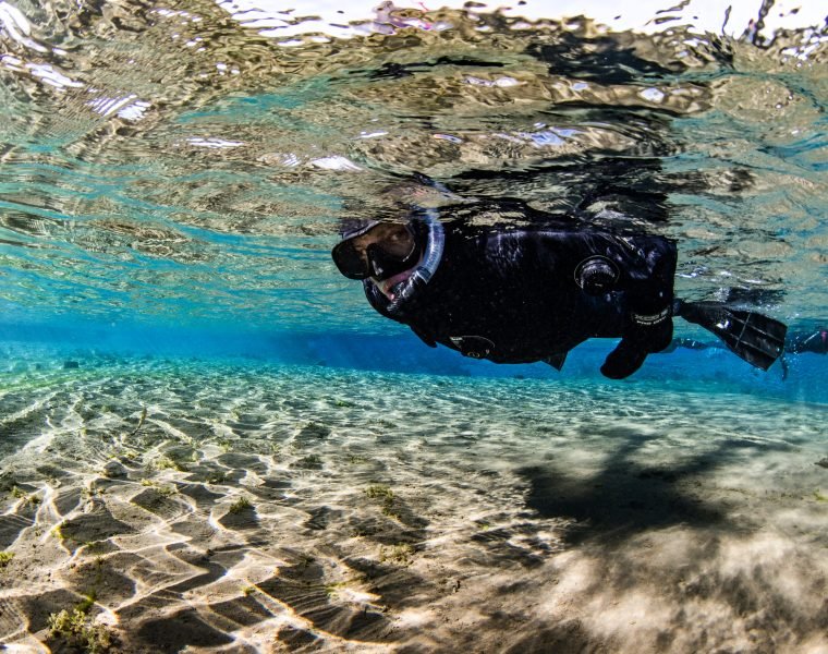 Snorkeling Silfra Group Tour