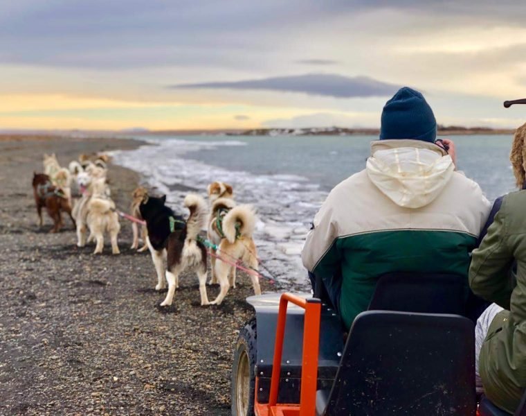 Dog Sledding Near Reykjavik