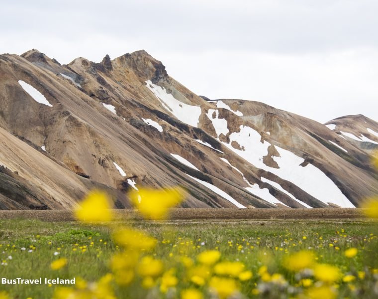 Landmannalaugar Hiking, Nature Bath & Háifoss Tour