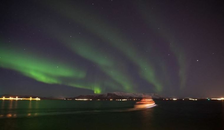 Horses & Northern Lights by boat