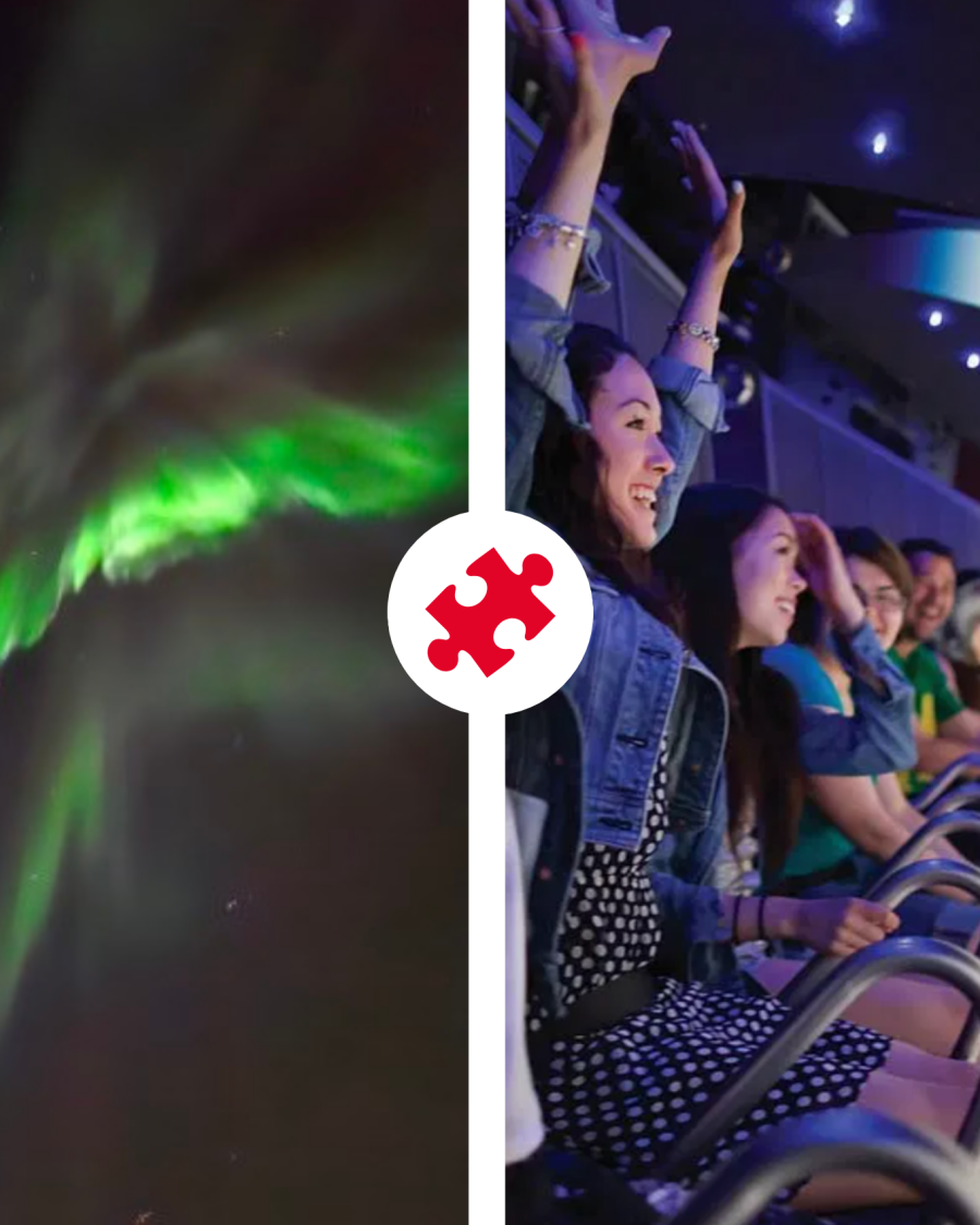 Northern Lights Cruise & FlyOver Iceland
