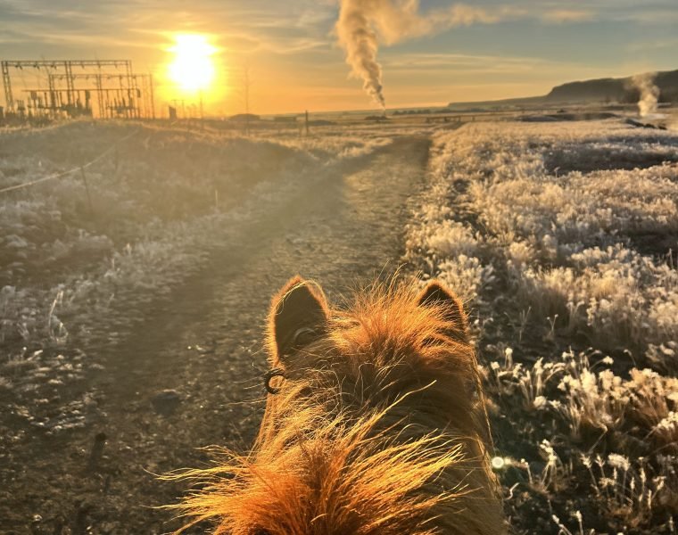 Riding and Relaxation