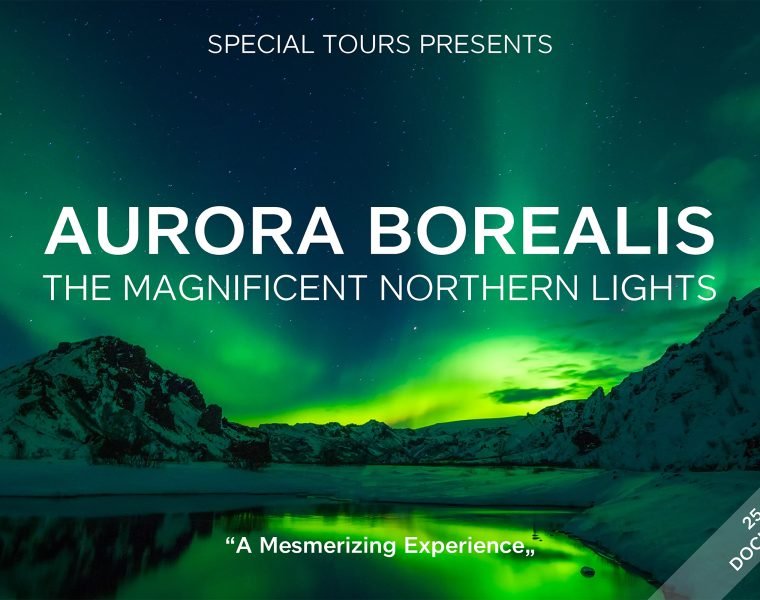 Northern Lights by Boat with a Backup Plan