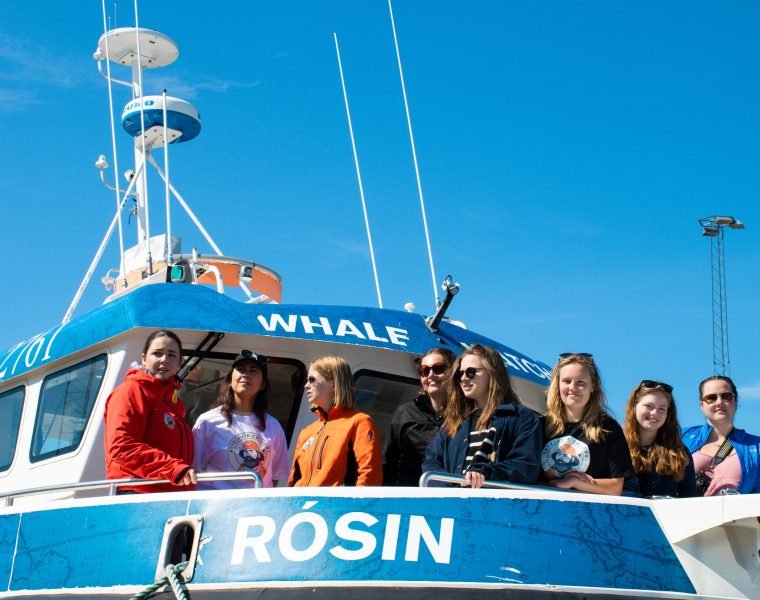 Best Value Whale Watching tour from Reykjavik