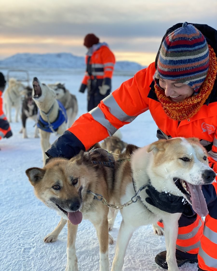 Dog Sledding Near Reykjavik