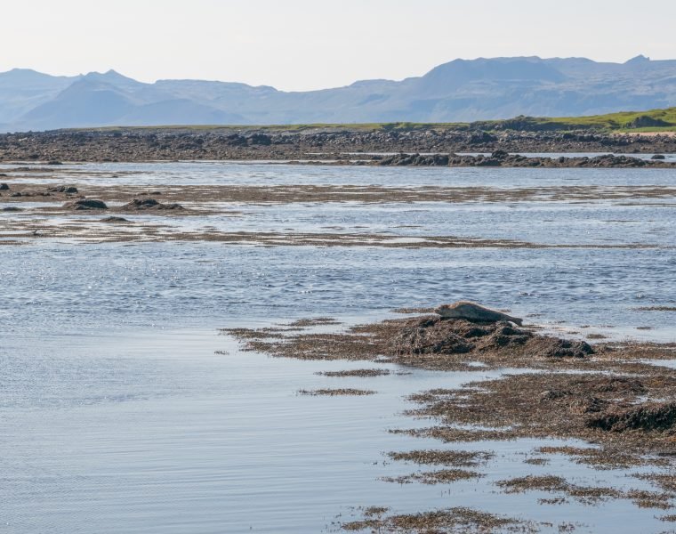 Snæfellsnes Peninsula Tour from Grundarfjordur Port