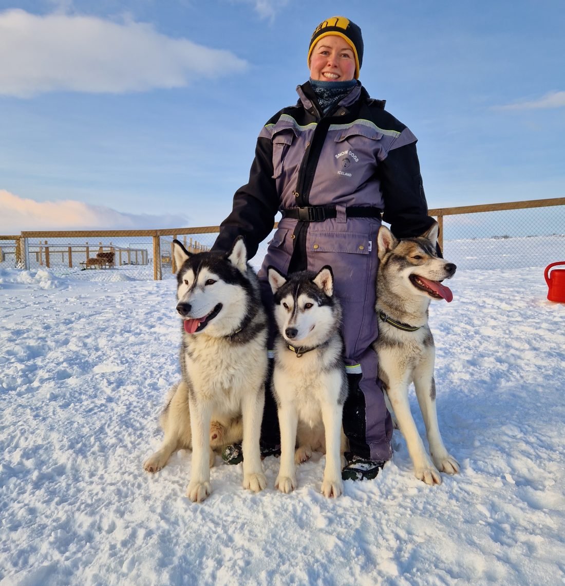 Siberian Husky Kennel Visit