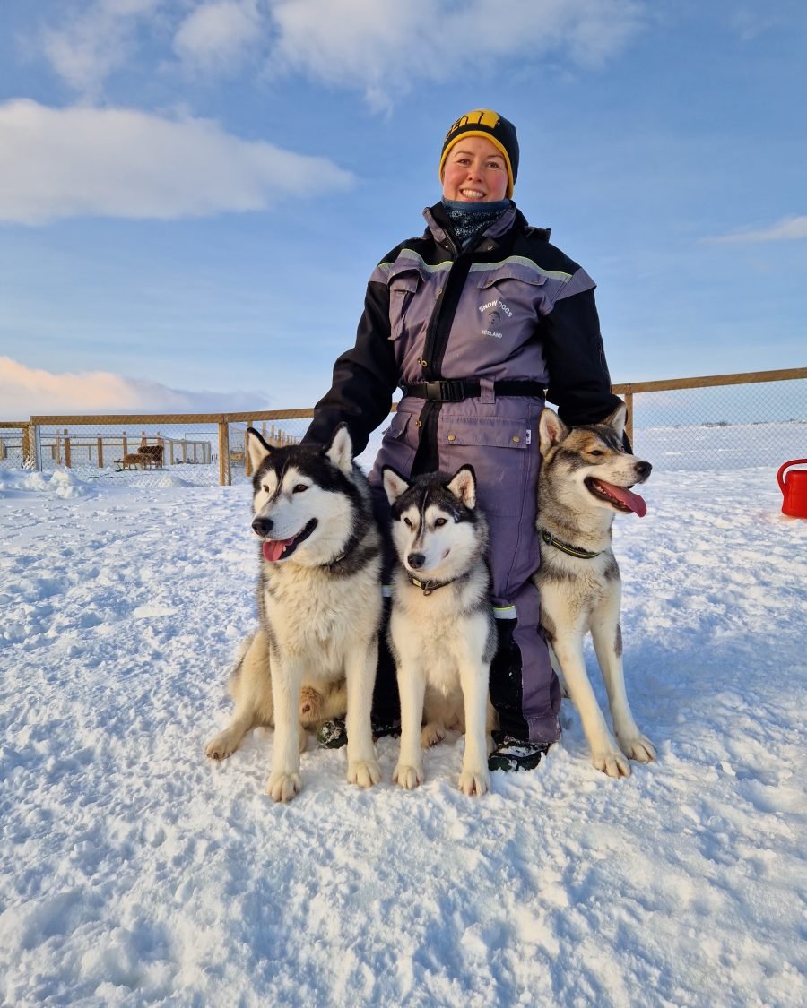 Siberian Husky Kennel Visit