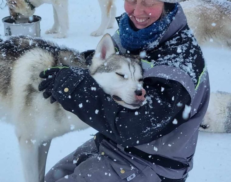 Siberian Husky Kennel Visit